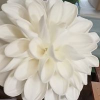 Молд пелюстка Жоржина № 6 ((18х11.5)