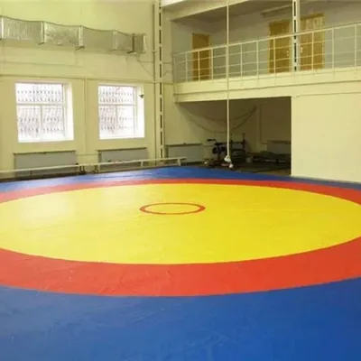 Борцівський килим (покришка для боротьби)