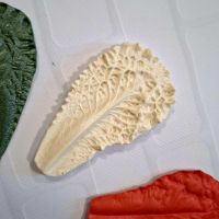 Молд лист Універсальний № 10