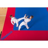 Татамі ProGame ITF Approved для тхеквондо 22 мм (ластівчин хвіст), 1 х 1 м