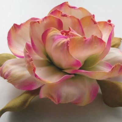 Пастель масляная MUNGYO 12 цветов, профессиональная  (синяя коробка)