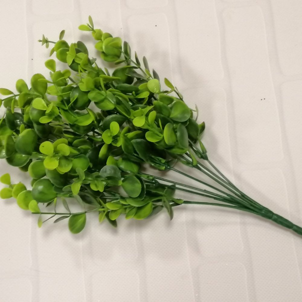 Кущик Самшита