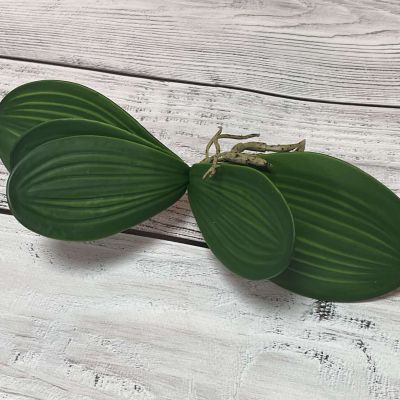 Листья Орхидеи маленькие 22 см