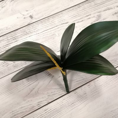 Листья Орхидеи средние 23 см