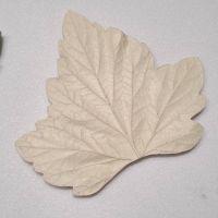 Молд лист смородини великий