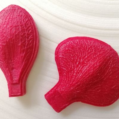 Молд орхидеи № 1