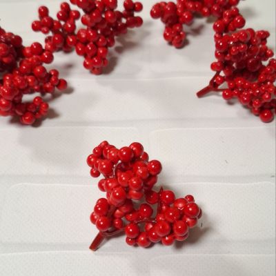 Тычинка мелкая калина, красная