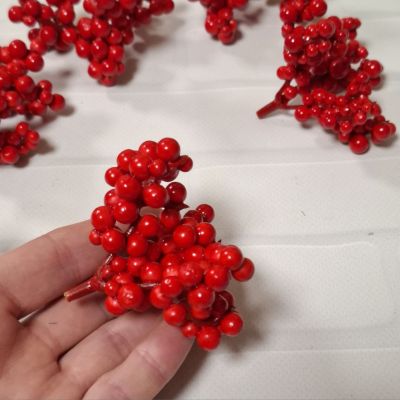 Тычинка мелкая калина, красная