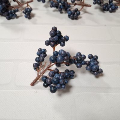Веточка с мелкими ягодками темно-синего цвета