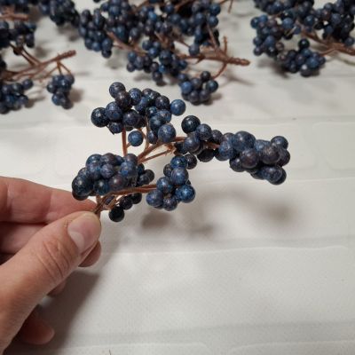 Веточка с мелкими ягодками темно-синего цвета