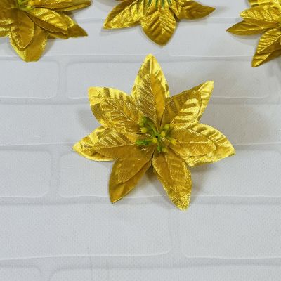 Пуансетия Золото