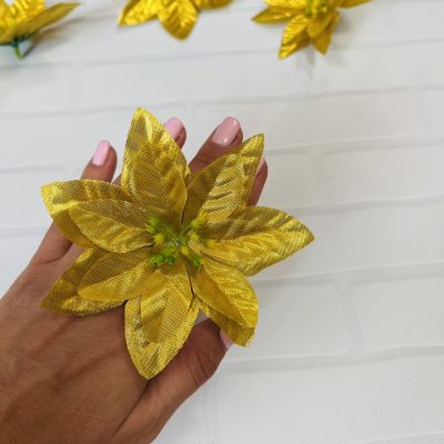 Пуансетия Золото