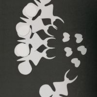 Серединки для орхідей 7 х 6 см (5 штук) Білі