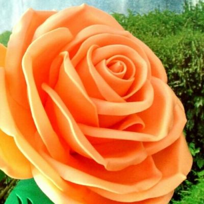 Помаранчевий 2 мм O244