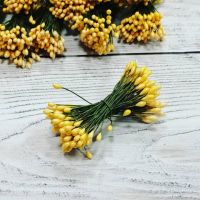 Тичинки крапля (жовті)
